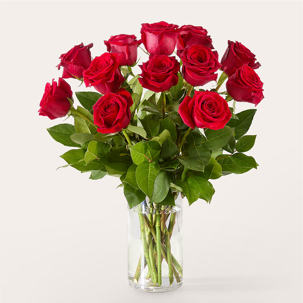 The One Red Rose Bouquet –  Savannah Flower Market, Savannah GA
