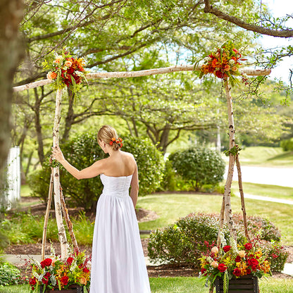 Arbor of Love Archway –  Savannah Flower Market, Savannah GA