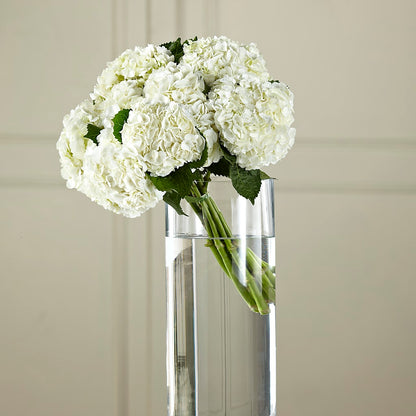 White Hydrangea Hand-Tied Bouquet –  Savannah Flower Market, Savannah GA