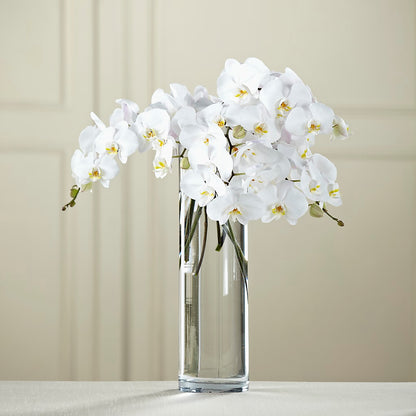 White Phalaenopsis Bouquet –  Savannah Flower Market, Savannah GA