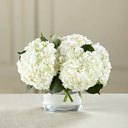 White Hydrangea Bouquet –  Savannah Flower Market, Savannah GA